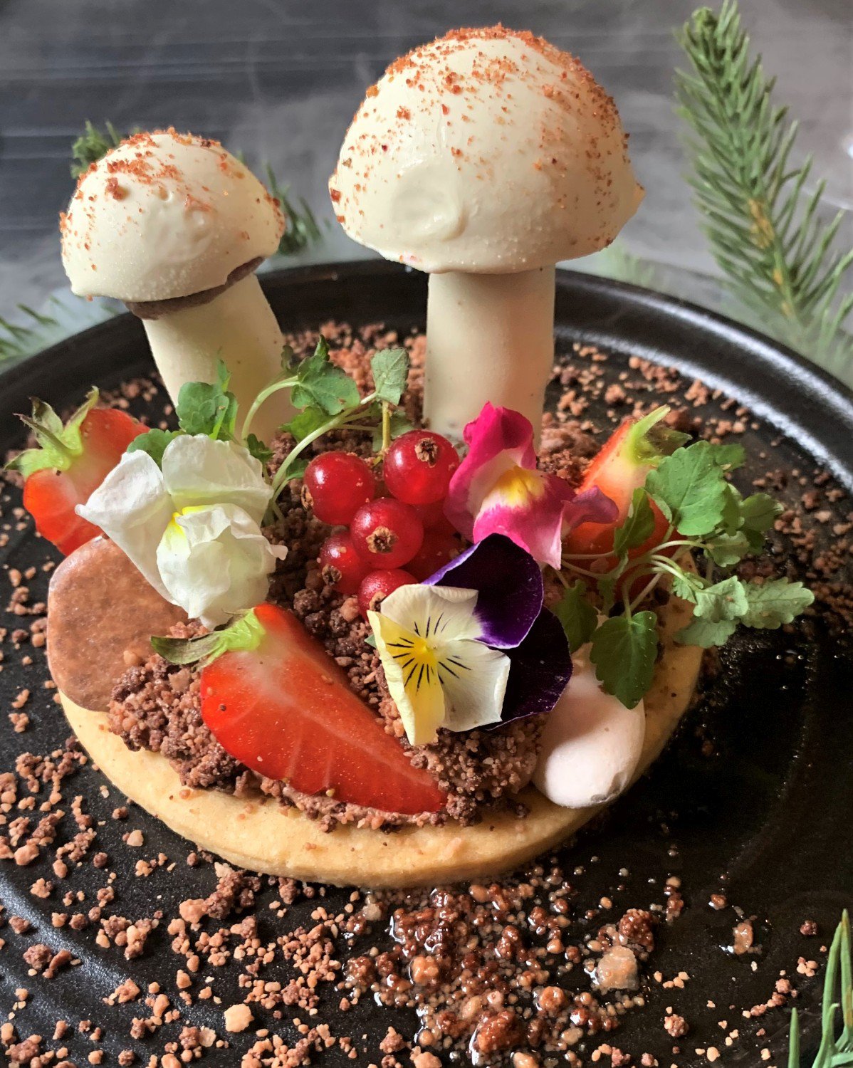chocolate-forrest