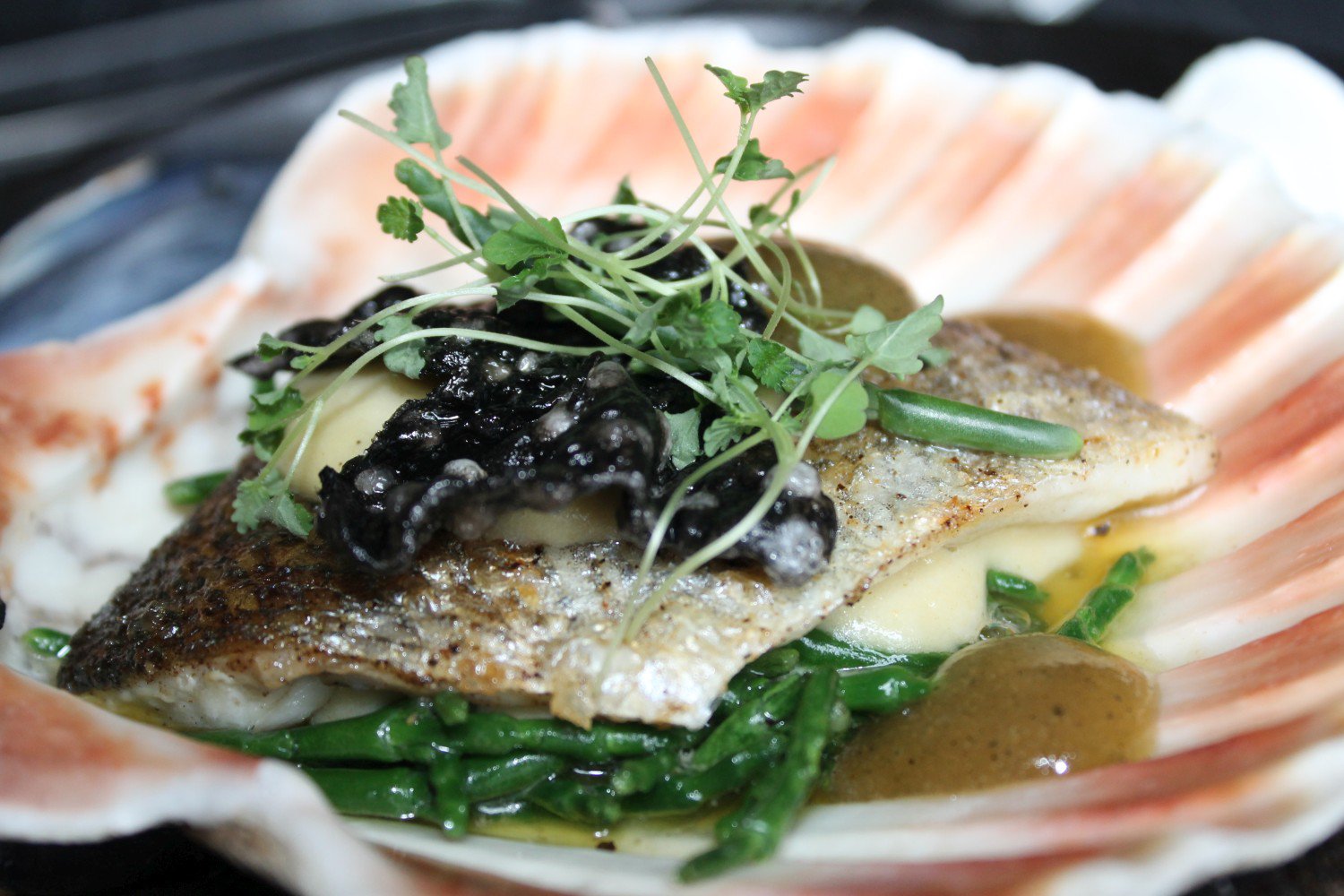 fishinshell