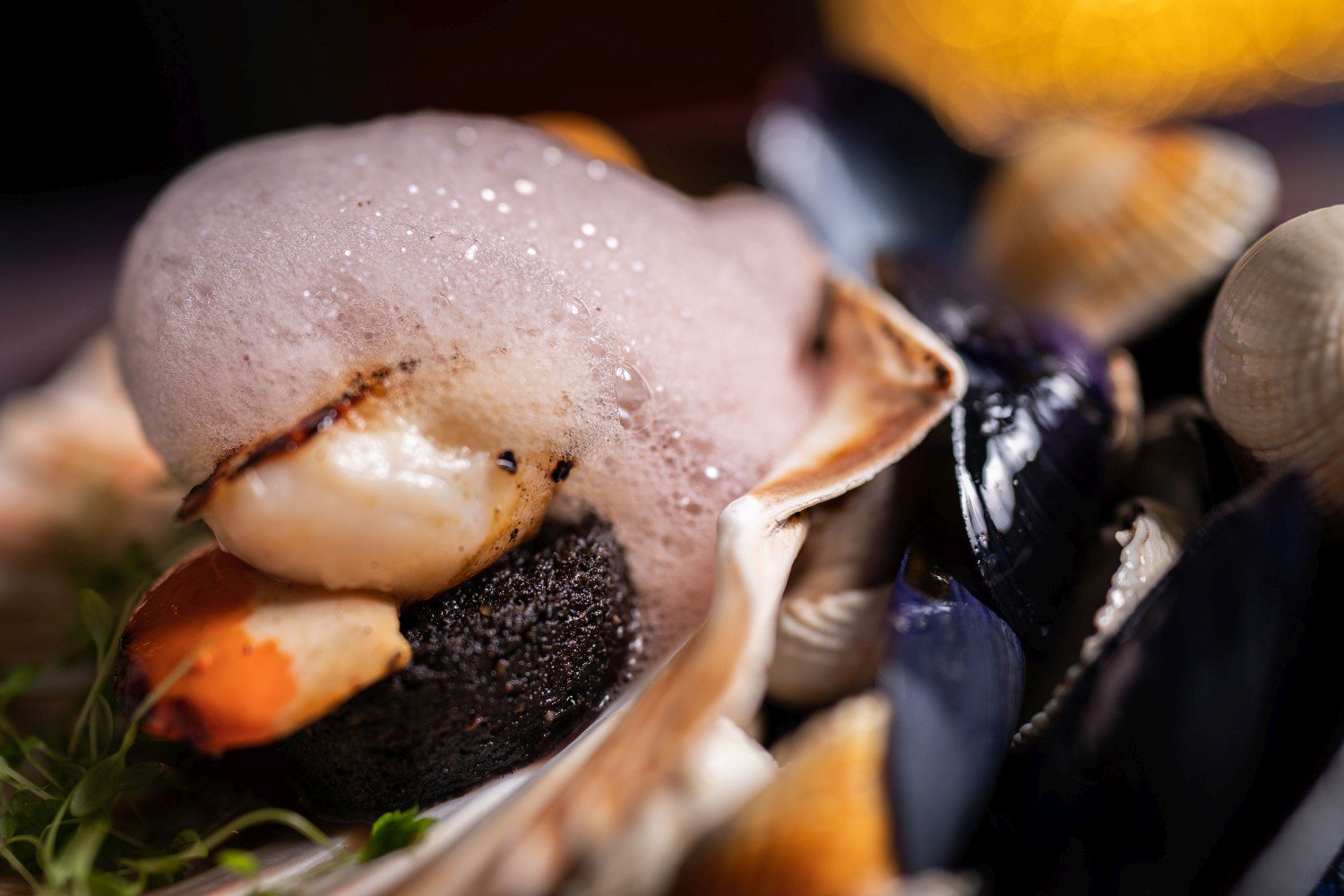Scallops