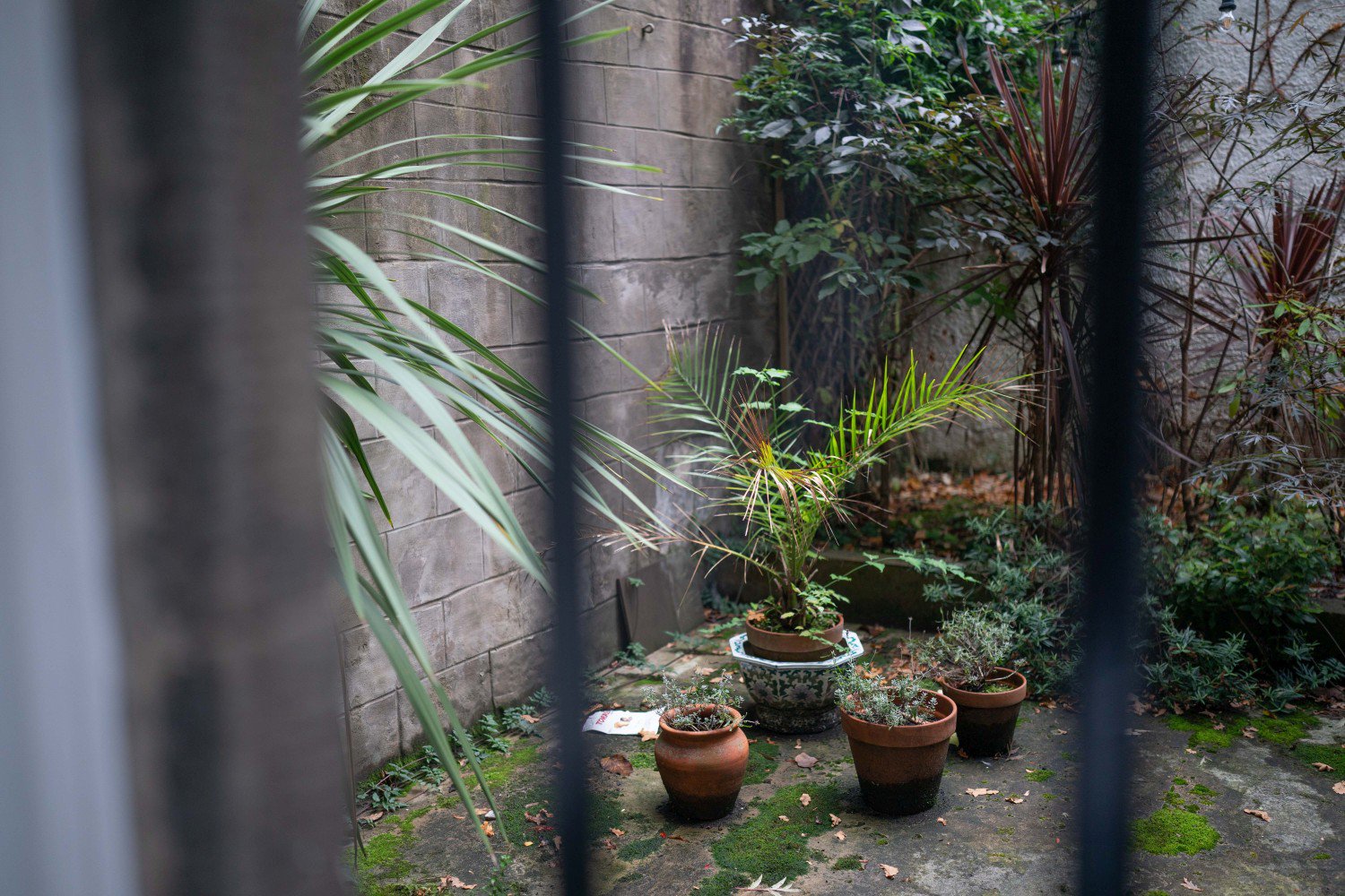 View from Room 14